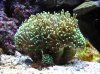 IMG_0119.jpg