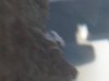 side_close.jpg