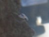 side_close_2.jpg