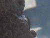 side_close3.jpg