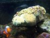 100_0654.JPG