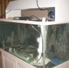 DSCN0718_.jpg