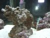 DSCN0430.jpg
