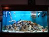 DSC02335.jpg