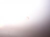 100_0675.JPG