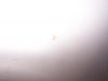 100_0677.JPG