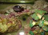 DSC02009.jpg
