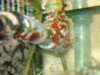 DSC02014.jpg