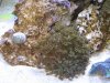 IMG_0199.JPG