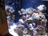 IMG_0203.JPG