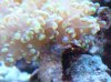 DSC00449.jpg