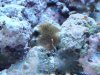 DSC00453.jpg