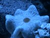 DSC00992.JPG