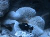 DSC01130.JPG