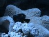 DSC01115.JPG