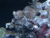 DSC01043.JPG