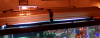 Picture 5.png