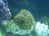 100_0409.jpg
