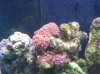 100_0408.jpg