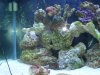 100_0406.jpg