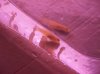 100_0594.jpg