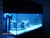 aquarium 004.jpg