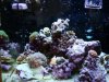 DSC00114.JPG