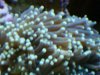 DSC00112.JPG