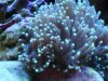 DSC00116.JPG