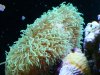 DSC00106.JPG