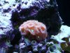 DSC00105.JPG