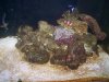 100_7586.jpg