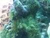 1020081627a.jpg