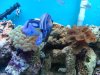 DSC02442.jpg