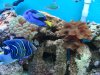 DSC02444.jpg