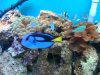 DSC02446.jpg