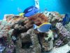 DSC02448.jpg
