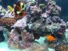 n36610169_35138116_9170.jpg