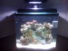 reef 001.JPG
