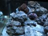 DSCN0270.jpg