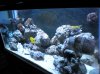 DSCN0266.jpg