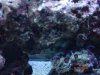 DSC01018.jpg