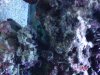 DSC01017.jpg