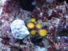 DSC01015.jpg