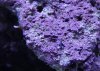 IMG_6086.jpg