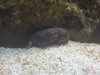 DSC00177.jpg