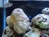 DSC04480.jpg