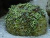 DSC04488.jpg