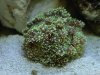 DSC04493.jpg