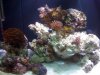 REEF 9-20 021.jpg